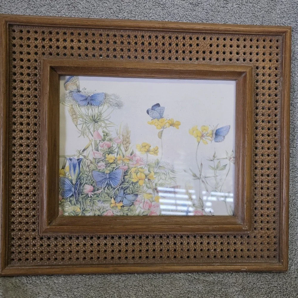 Vintage Faux Wicker Frame With Butterfly Print Boho Cottagecore 13x15
